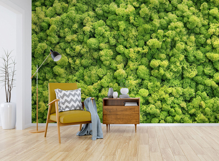 Фотообои 1012290283