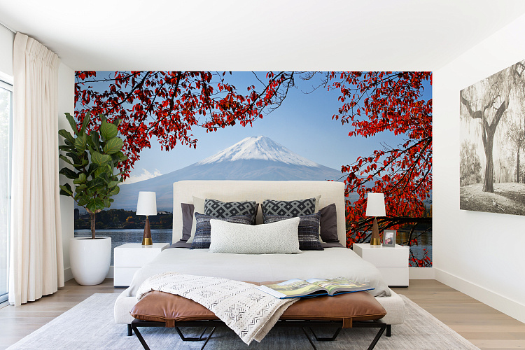 Фотообои 55179380