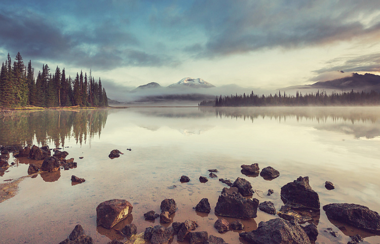 Фотообои 299264429