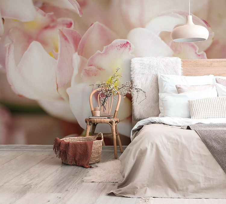 Фотообои 16688083