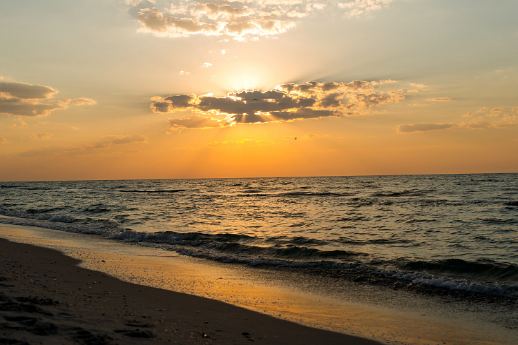 Фотообои 97971920