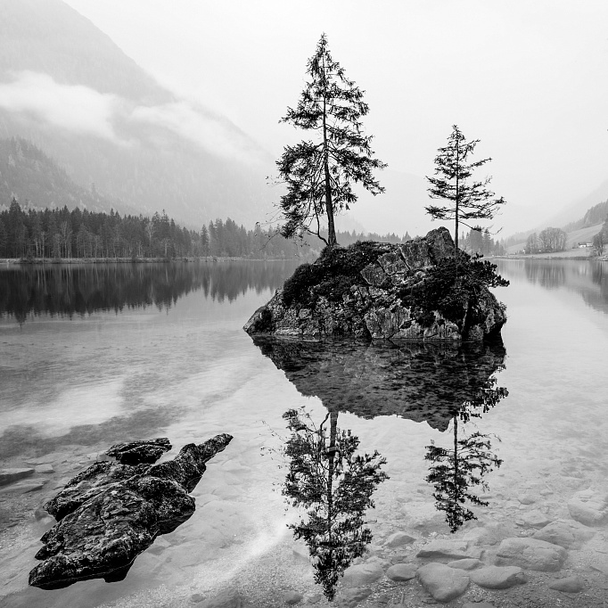 Фотообои 294852182