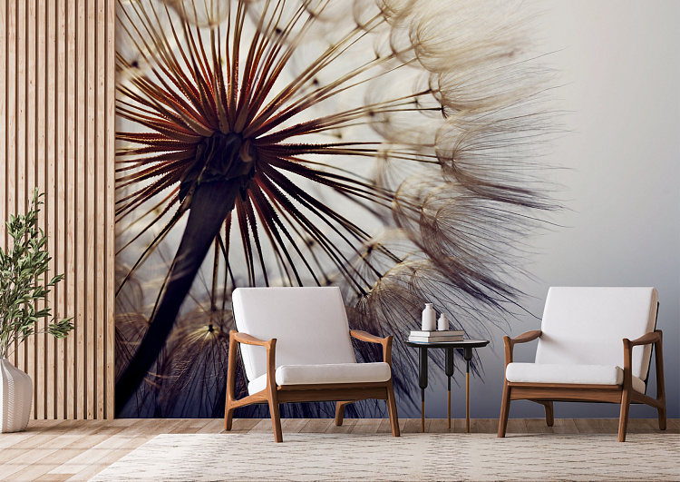 Фотообои 255048514