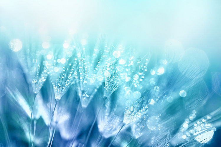 Фотообои 1215369238