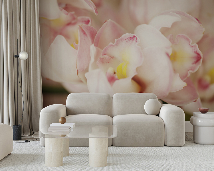 Фотообои 16688083