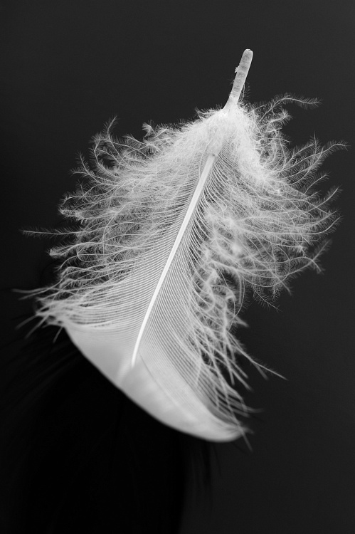 Фотообои 38809384