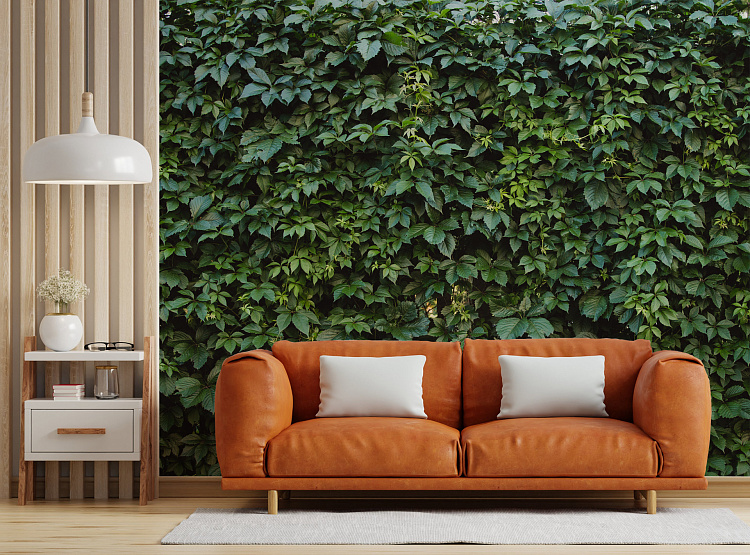 Фотообои 107261578