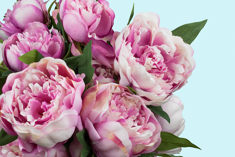 Фотообои 137373688