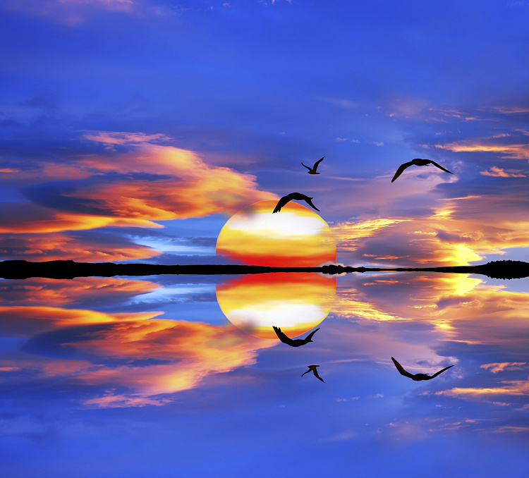 Фотообои 33645883