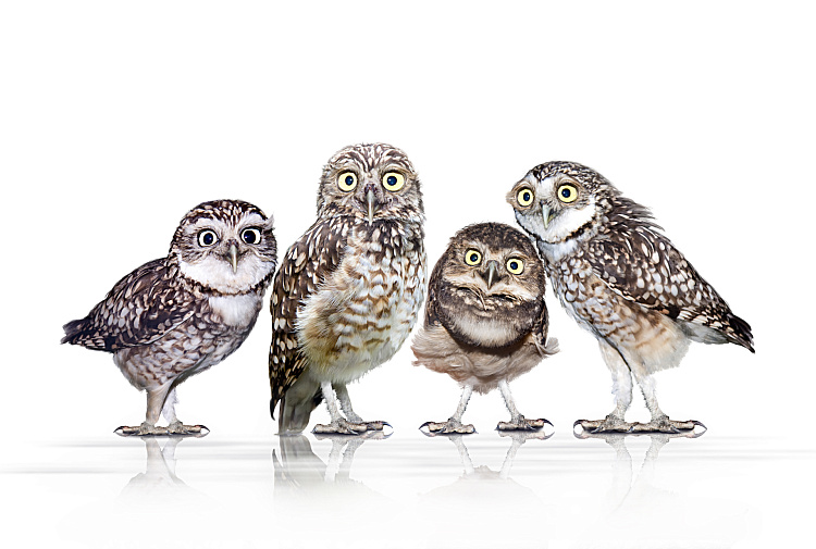 Фотообои 38681692