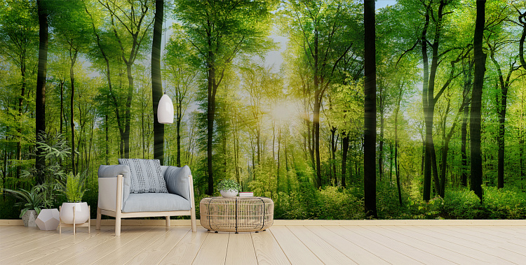 Фотообои 82972458