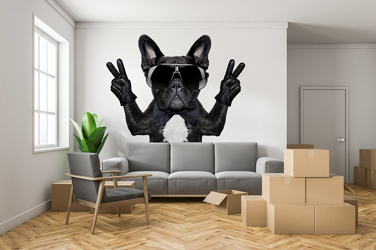 Фотообои 65997195