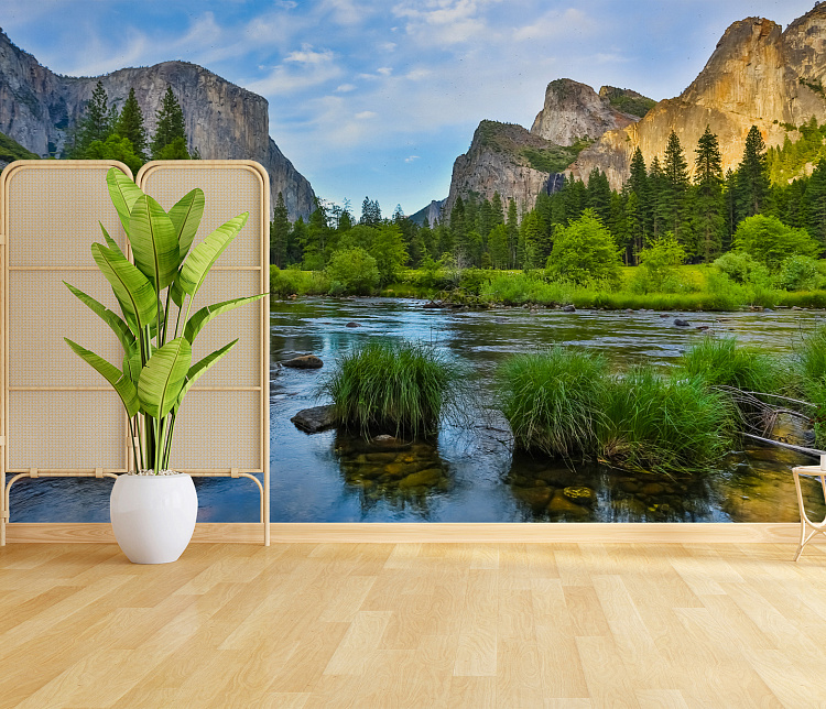 Фотообои 67019872