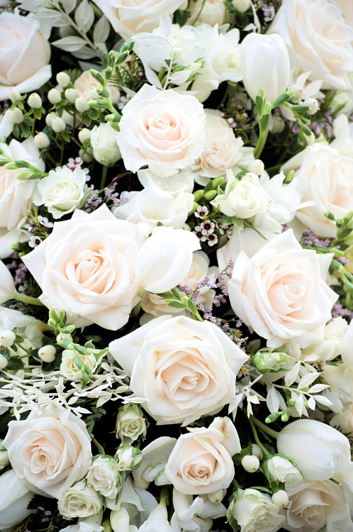 Фотообои 265210904