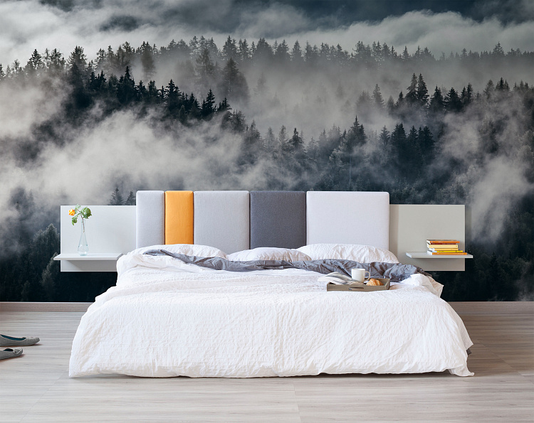 Фотообои 288654236