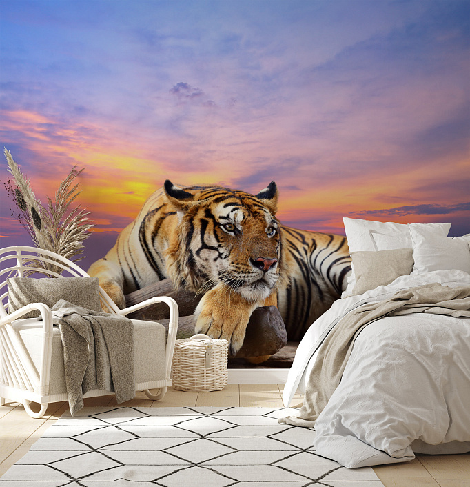 Фотообои 57972896