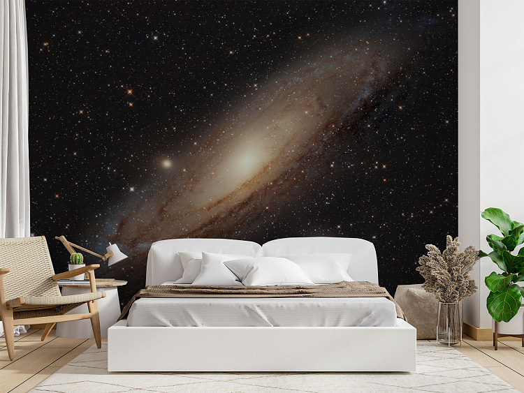 Фотообои 480123405