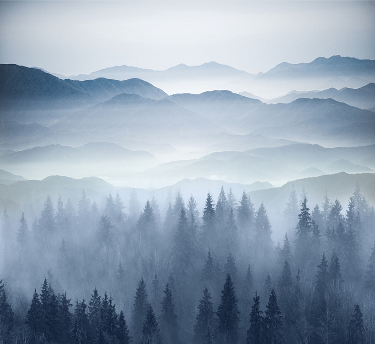 Фотообои 68411468-55