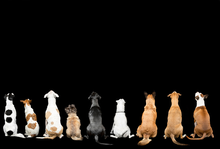 Фотообои 117718180