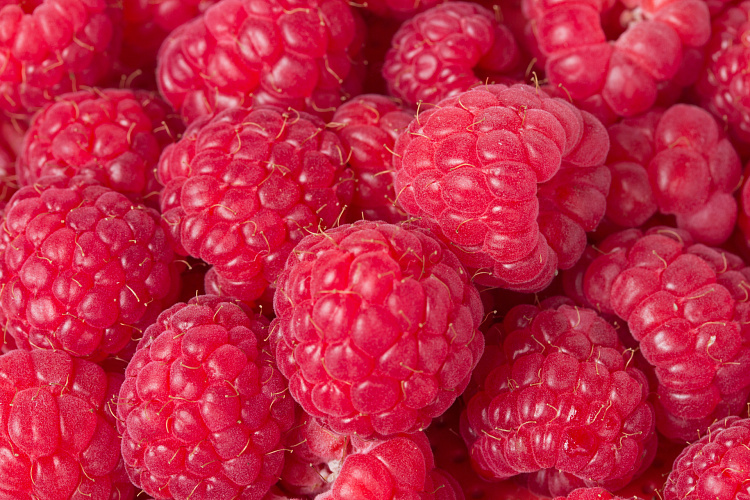 Фотообои 51064383