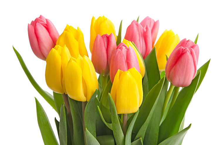 Фотообои 134960287