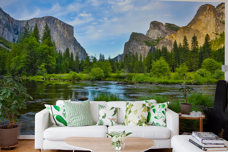 Фотообои 67019872