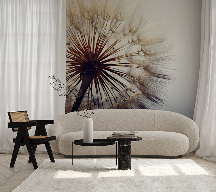 Фотообои 255048514