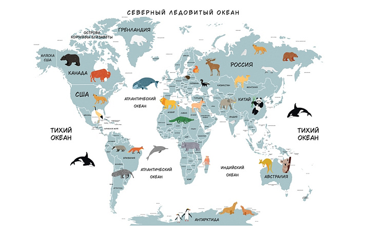 Фотообои 64754154947-1