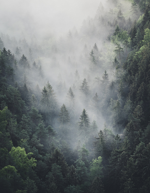 Фотообои 350557207