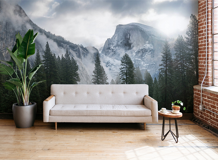 Фотообои 1240713892