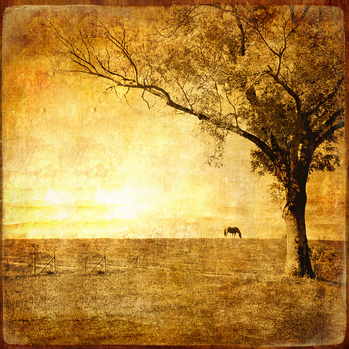 Фотообои 14893406