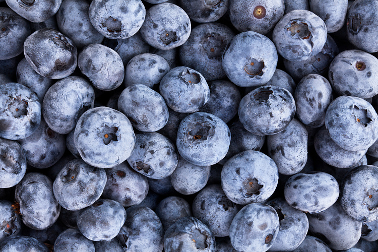 Фотообои 68492688