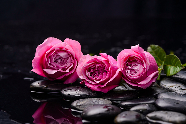 Фотообои 77048055