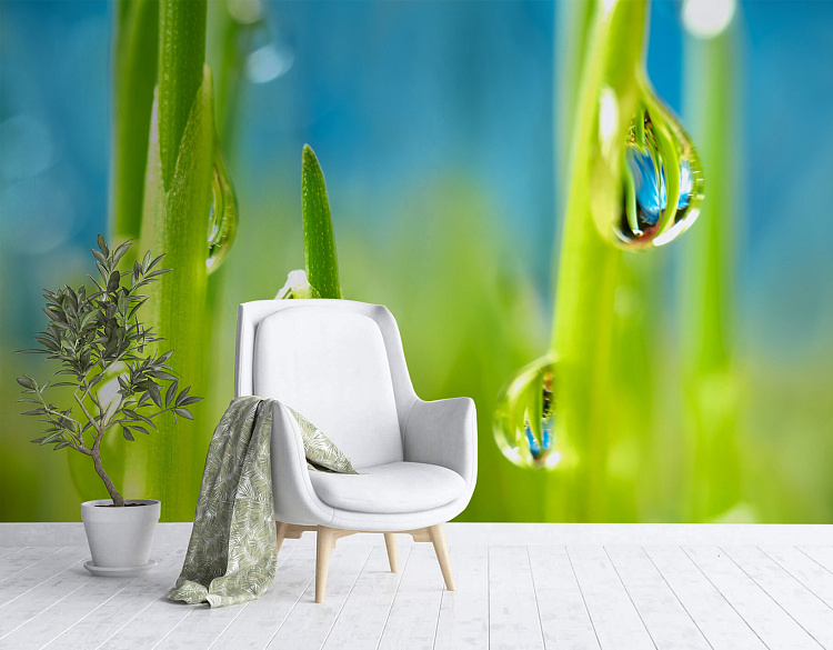 Фотообои 1711698379