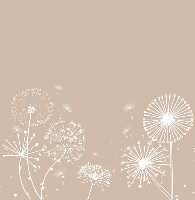 Фотообои 212001903