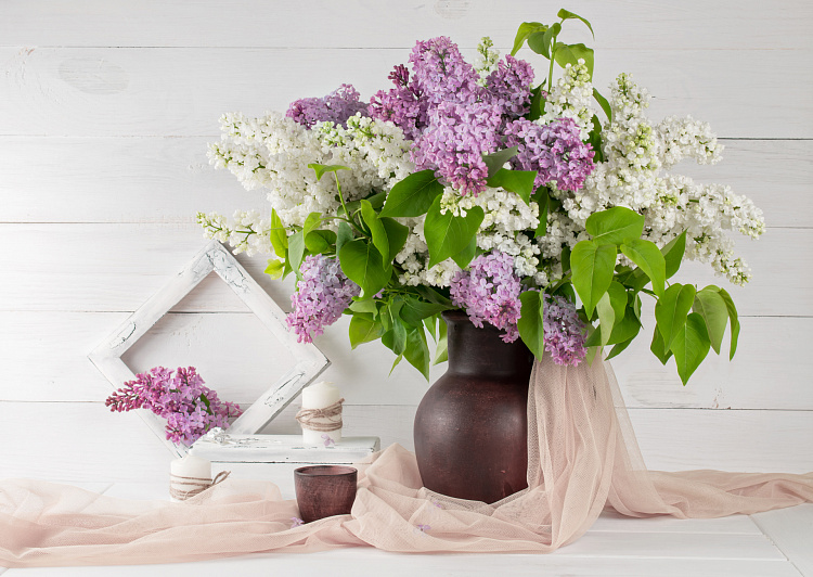 Фотообои 135221592