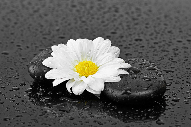 Фотообои 56226696