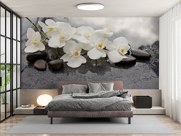 Фотообои 157507770