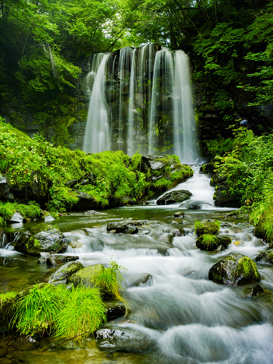 Фотообои 282637146