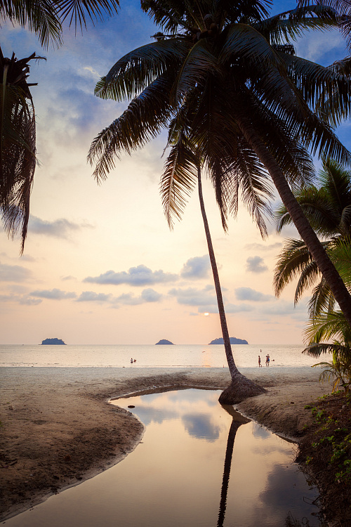 Фотообои 79677402