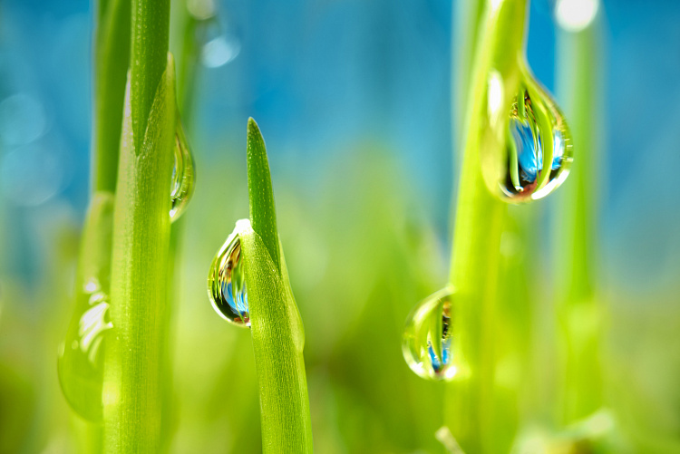 Фотообои 1711698379