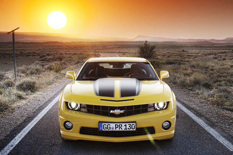 Фотообои auto1111