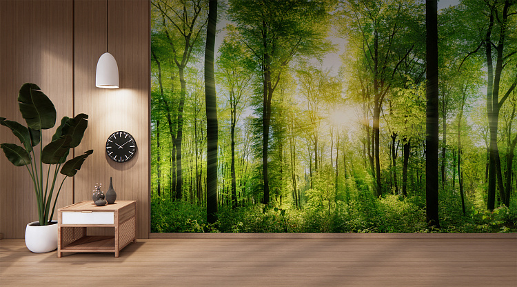 Фотообои 82972458