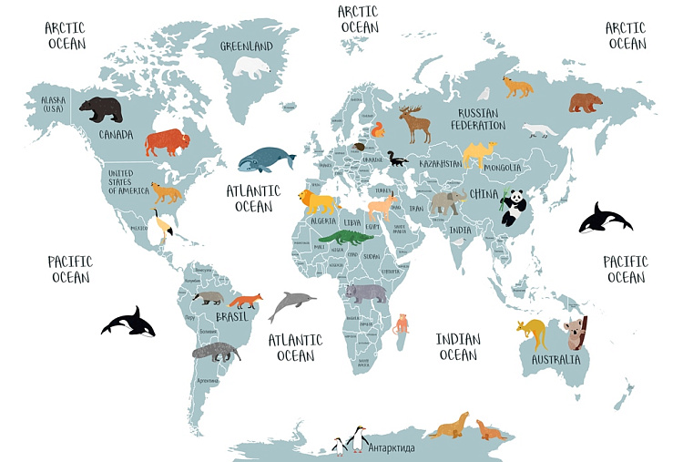 Фотообои 53476980-40