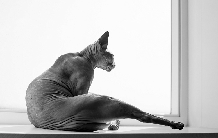 Фотообои 1380441476