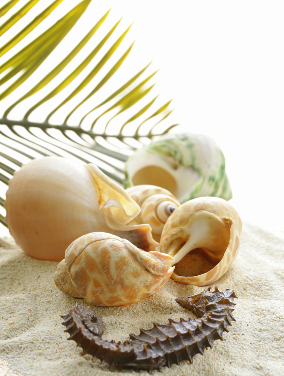 Фотообои 48598774