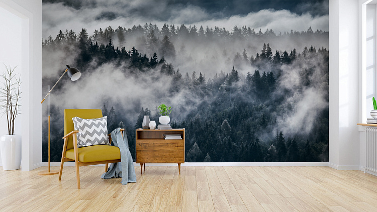 Фотообои 288654236