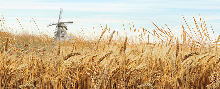 Фотообои 47697076546-98