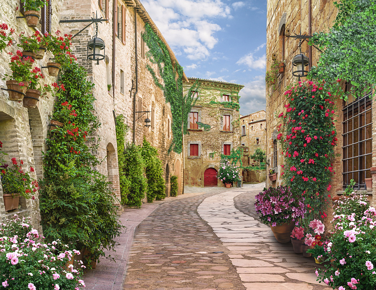 Фотообои 1477893239