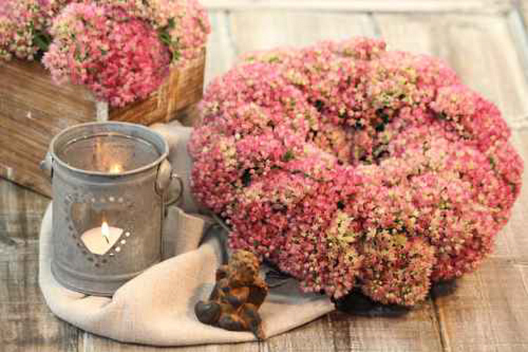 Фотообои 70257422